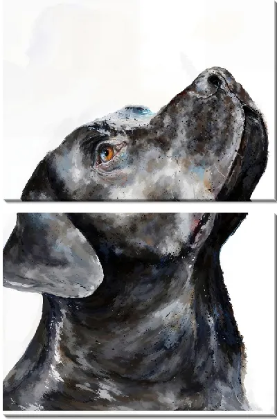 Модульная картина Лабрадор ретривер №49