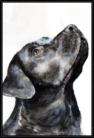 Картина Лабрадор ретривер №49