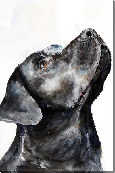 Картина маслом Лабрадор ретривер №49