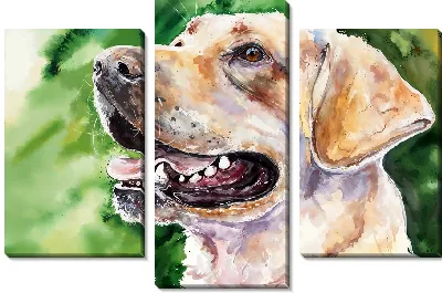 Модульная картина Лабрадор ретривер №50