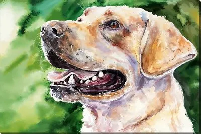 Картина маслом Лабрадор ретривер №50