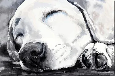 Картина маслом Лабрадор ретривер №51