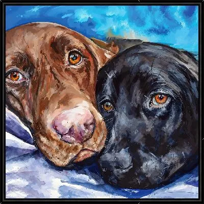 Лабрадор ретривер №52