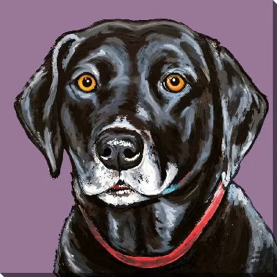 Картина маслом Лабрадор ретривер №60