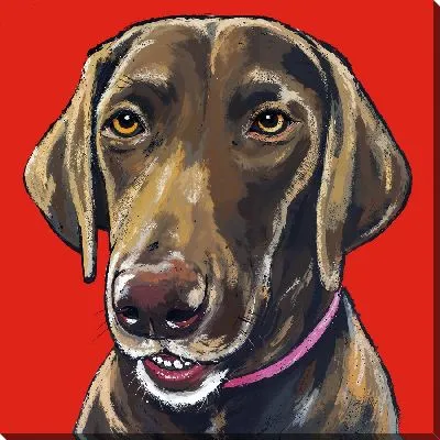 Картина маслом Лабрадор ретривер №62