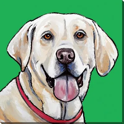 Лабрадор ретривер №65