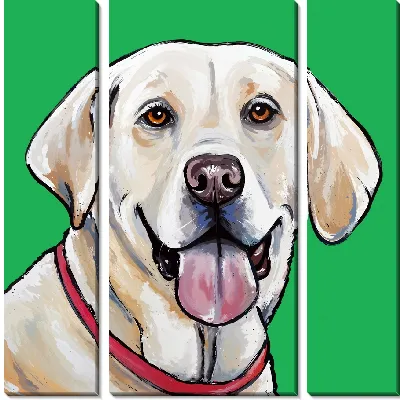 Лабрадор ретривер №65