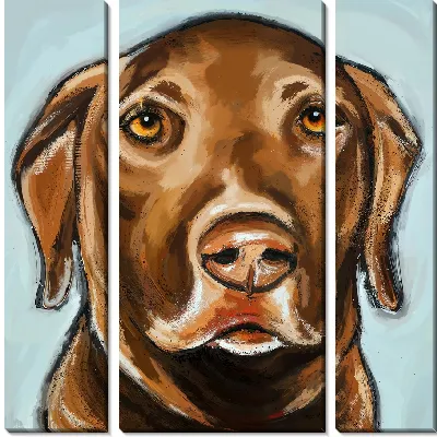 Модульная картина Лабрадор ретривер №67