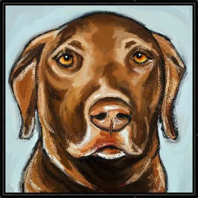 Картина Лабрадор ретривер №67