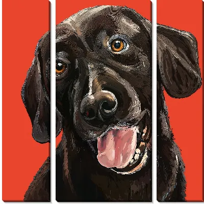 Модульная картина Лабрадор ретривер №69