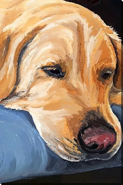 Постер Лабрадор ретривер №71