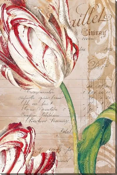 Картина маслом Белый тюльпан на стебле