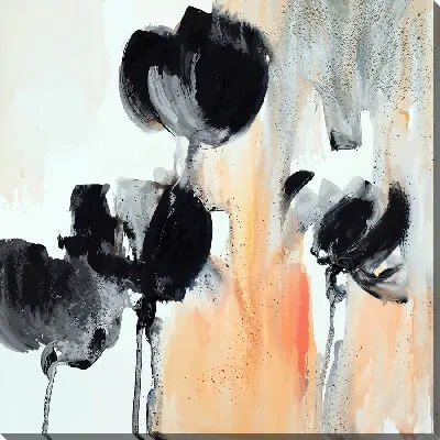 Черные тюльпаны