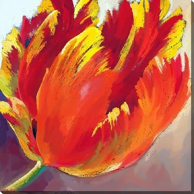Картина маслом Красно-желтый тюльпан