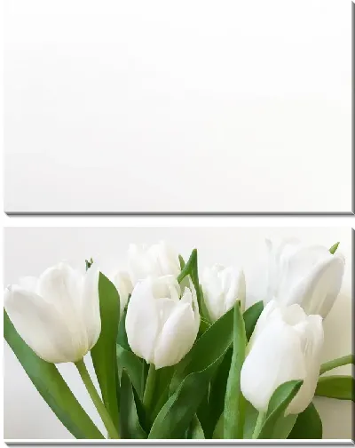 Модульная картина Белые тюльпаны №3