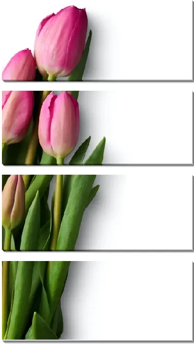 Модульная картина Нераскрывшиеся тюльпаны