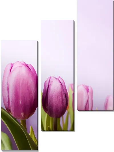 Модульная картина Тюльпаны в ряд