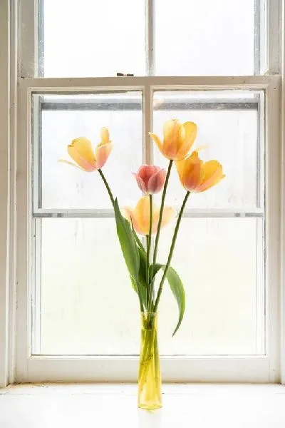 Плакат Букет тюльпанов на подоконнике