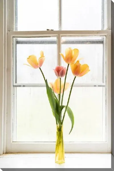 Постер Букет тюльпанов на подоконнике