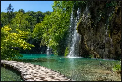 картина