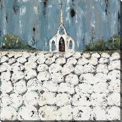 Поле белого хлопка