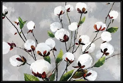 Ветки хлопка