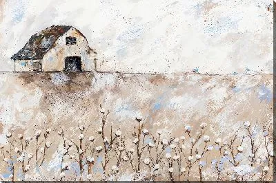 Поле хлопка