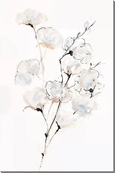 Постер Ветка с хлопком