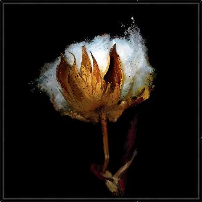 Картина Хлопок №4