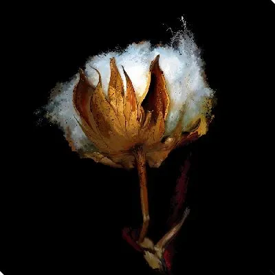 Постер Хлопок №4