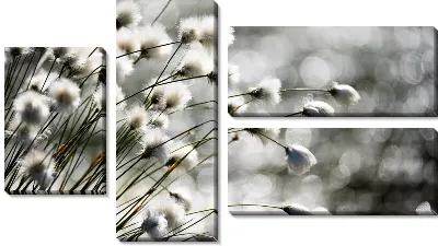 Модульная картина Хлопок в природе