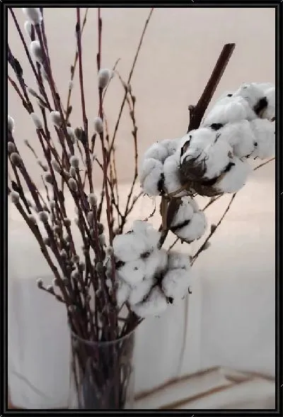 Картина Хлопок в вазе на столе