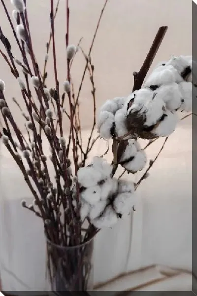 Постер Хлопок в вазе на столе