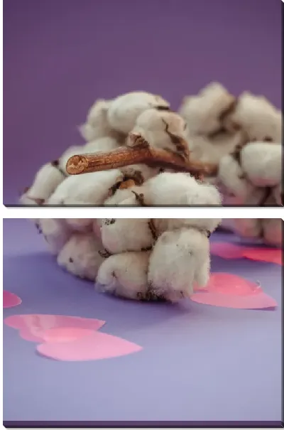 Модульная картина Хлопок на сиреневом фоне