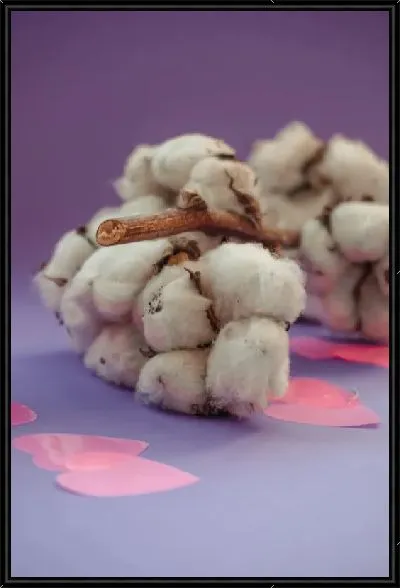 Картина Хлопок на сиреневом фоне