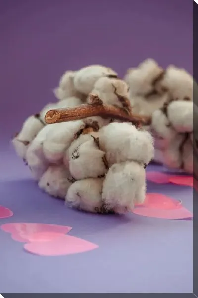 Постер Хлопок на сиреневом фоне