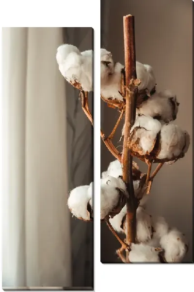 Модульная картина Домашний хлопок