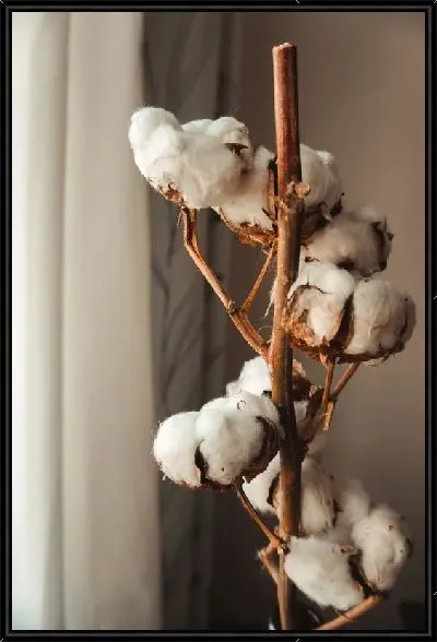 Картина Домашний хлопок