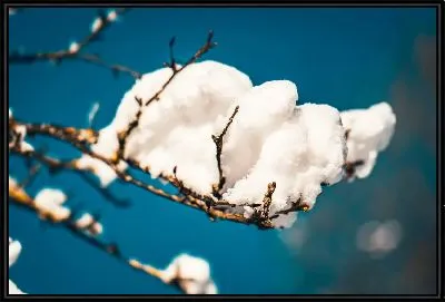 Хлопок в виде облака