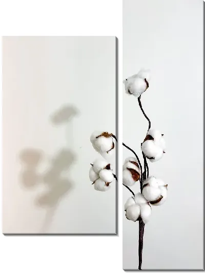 Модульная картина Хлопок и тень