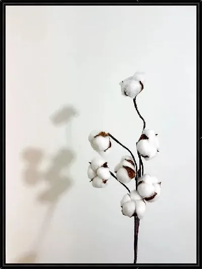 Картина Хлопок и тень