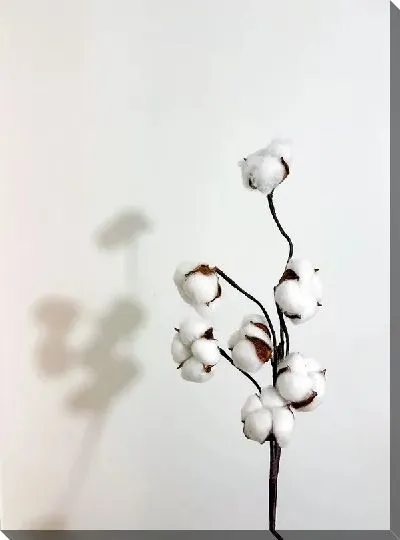 Постер Хлопок и тень