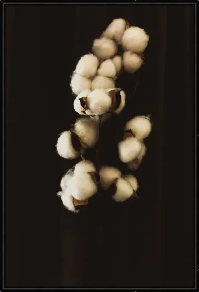 Картина Хлопок на темном фоне