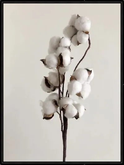 Картина Хлопок на светлом фоне