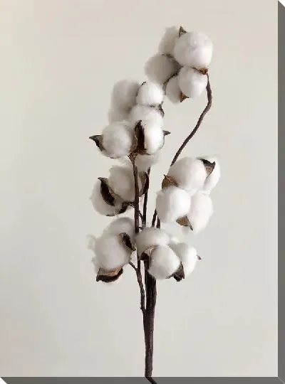 Постер Хлопок на светлом фоне
