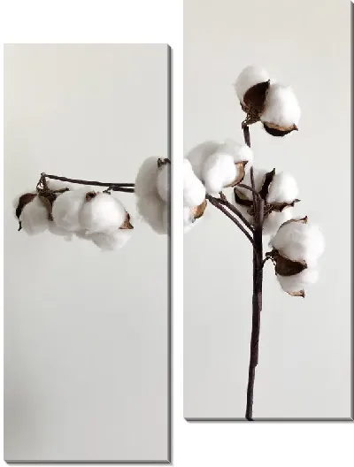 Модульная картина Ветка с хлопком на светлом фоне