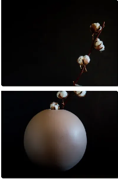 Модульная картина Хлопок в круглой вазе