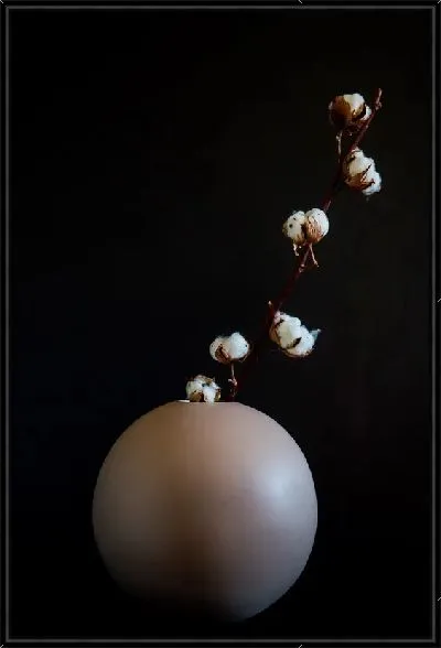 Картина Хлопок в круглой вазе