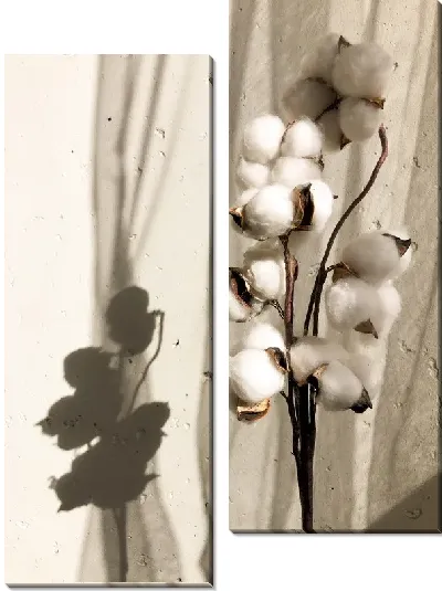 Модульная картина Нежный хлопок