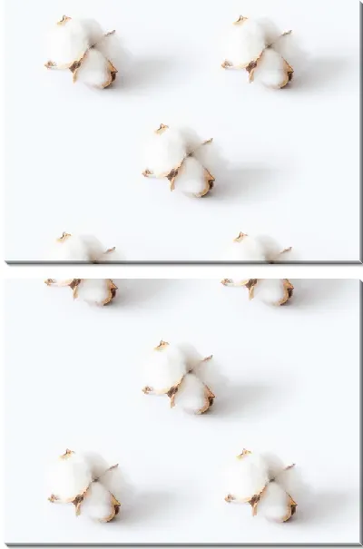 Модульная картина Бутоны хлопка